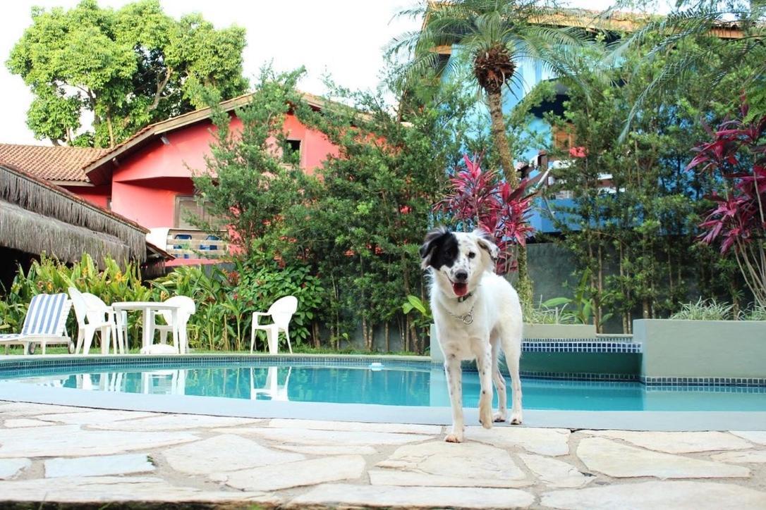 Pousada North Shore Maresias - 2 Quadras Da Praia - Casas De 2 Quartos - 80 M2 -2 Banheiros -Piscina Sauna - Estacion-Churrasq Privativa -Wifi Animais De Peq Porte Roupa De Cama E Banho Kültér fotó